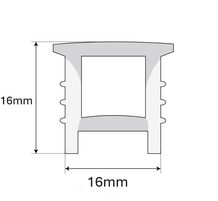 Silicon Profiles – 16mm x 16mm
