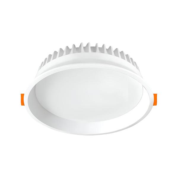 Canary Light