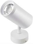 Focus Wall Light