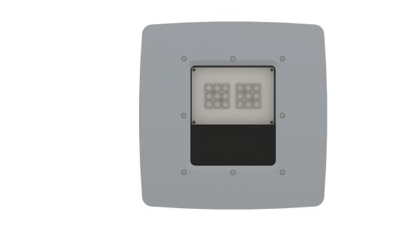 Canopy Light | Glass